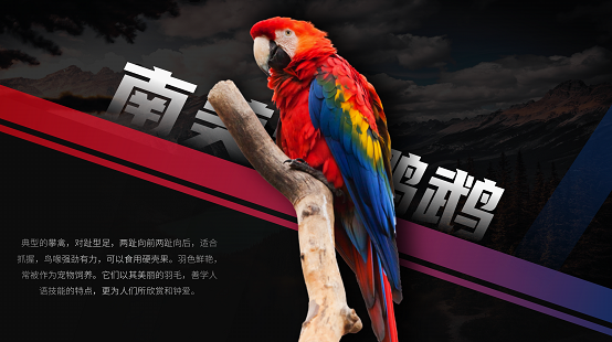 ppt自动翻转怎么设置