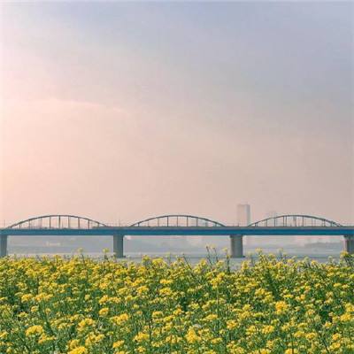 威斯尼斯wns888入口app