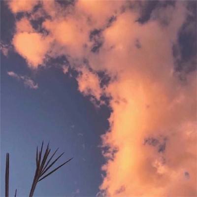 澳门·威尼斯人