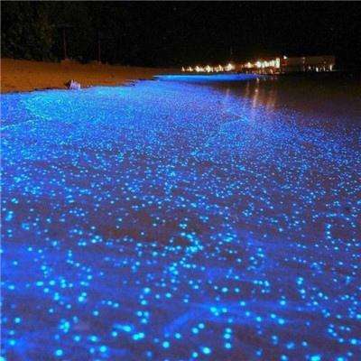鸭脖app下载