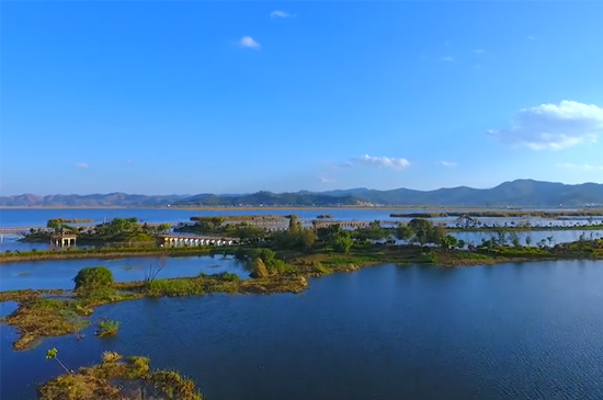 湿地又称为什么 第5张