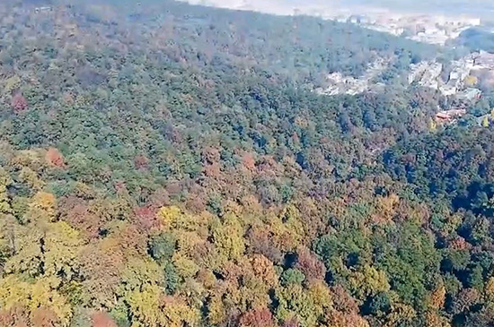 长沙有哪些好玩的地方 第3张