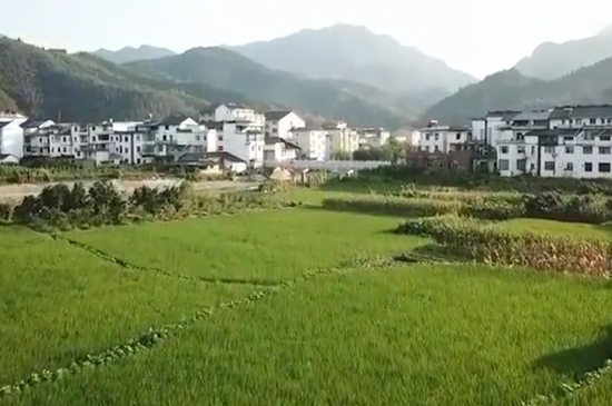 庐山在哪个省 第3张