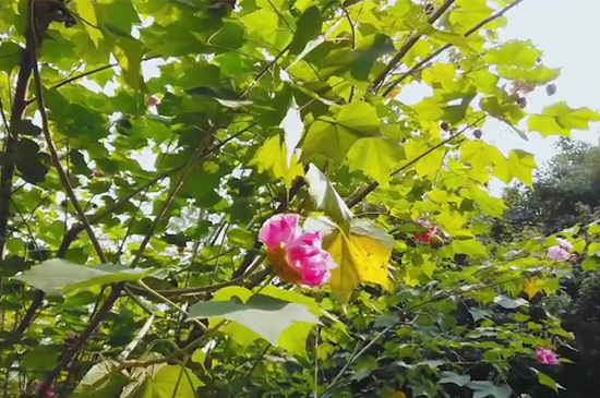 西湖十景有哪些 第3张
