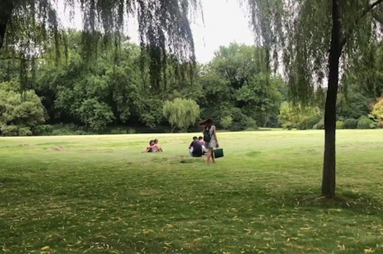 西湖十景有哪些 第11张