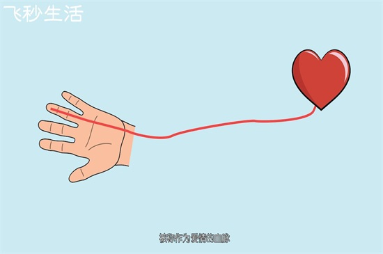 结婚戒指戴哪个手指 第3张