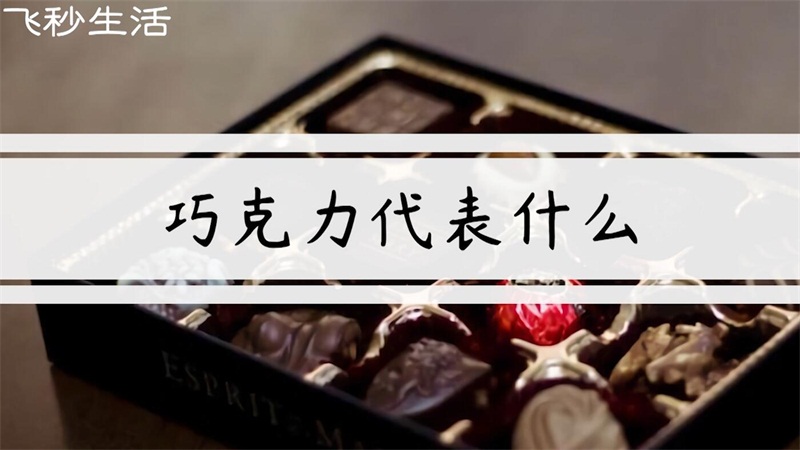 巧克力代表什么 第1张