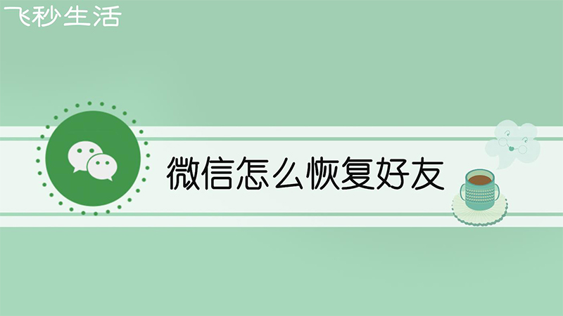 微信怎么恢复好友 第1张