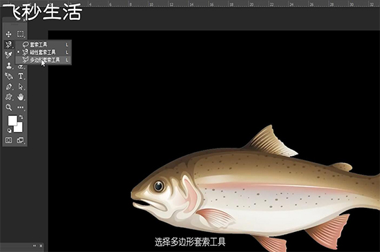 ps套索工具抠图步骤 第5张