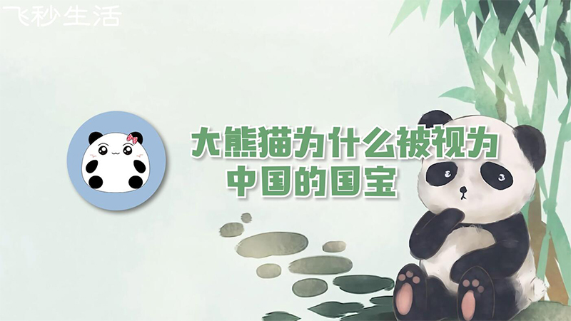 大熊猫为什么被视为中国的国宝 第1张