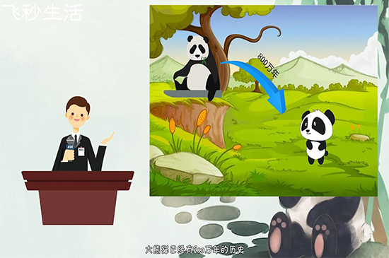 大熊猫为什么被视为中国的国宝 第3张