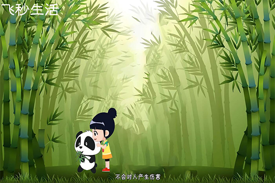 大熊猫为什么被视为中国的国宝 第5张