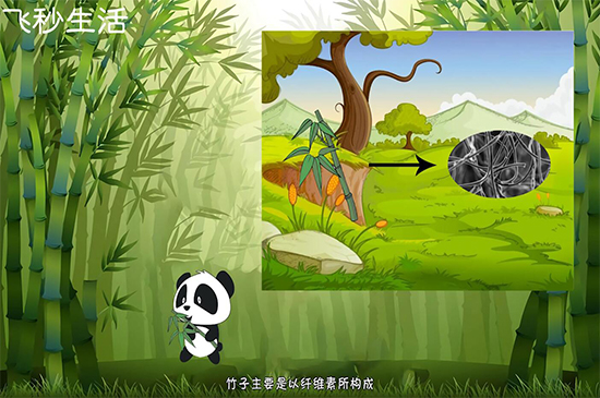 大熊猫为什么被视为中国的国宝 第7张