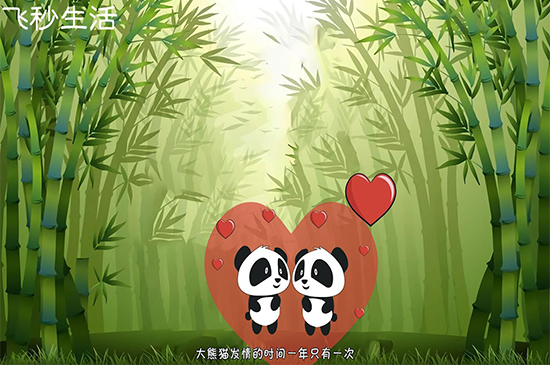 大熊猫为什么被视为中国的国宝 第9张