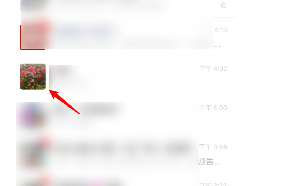 微信拍一拍功能怎么用 第3张