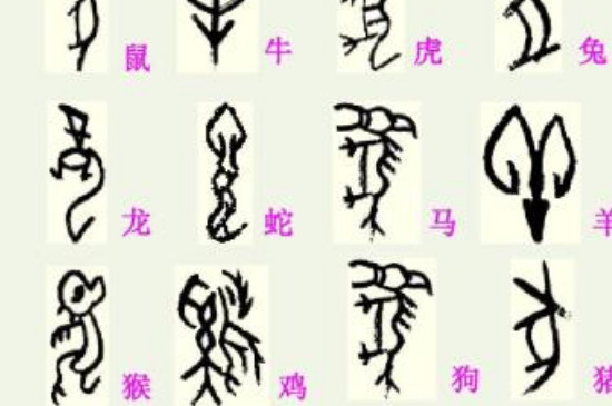 商丘甲骨文起源地在哪里 第3张