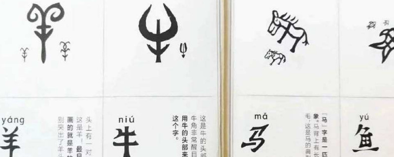 甲骨文为什么在台湾 第1张