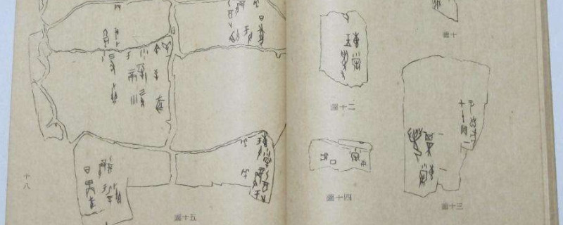 甲骨文为什么叫甲骨文 第1张