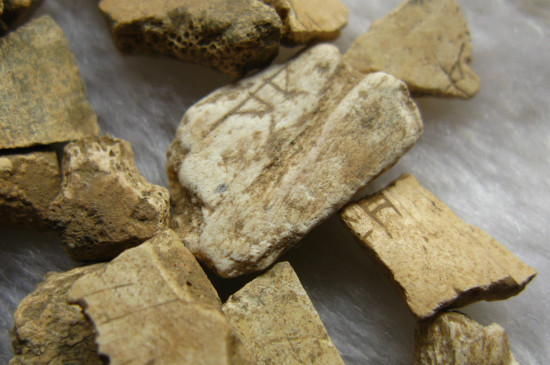 甲骨文可以用什么来形容 第3张