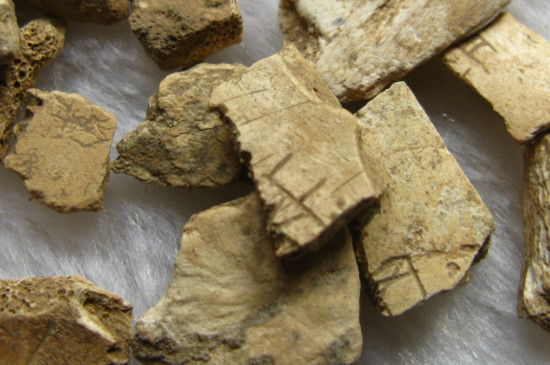 甲骨文可以用什么来形容 第5张