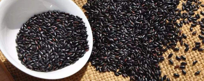绿豆和黑米能在一起熬粥吗 第1张