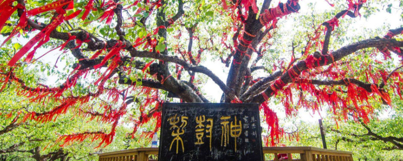 砀山县属于哪个市 第1张
