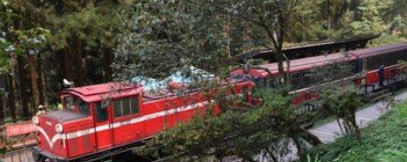 阿里山位于哪个省 第1张
