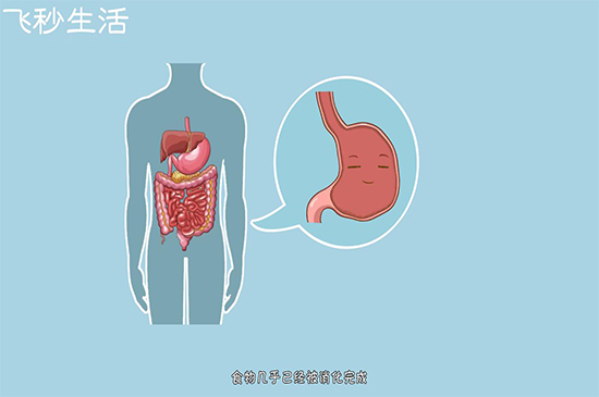 饭后多久可以运动 第7张