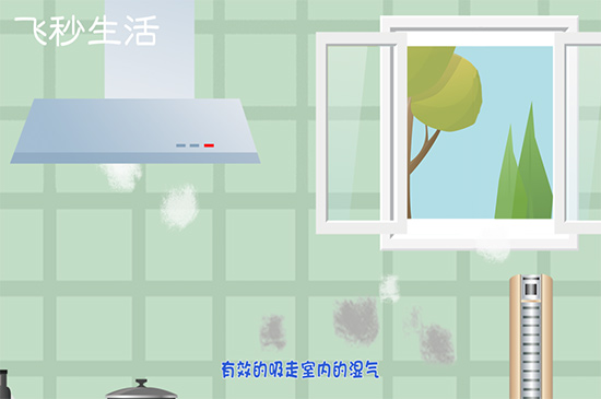 墙壁发霉怎么处理 第7张