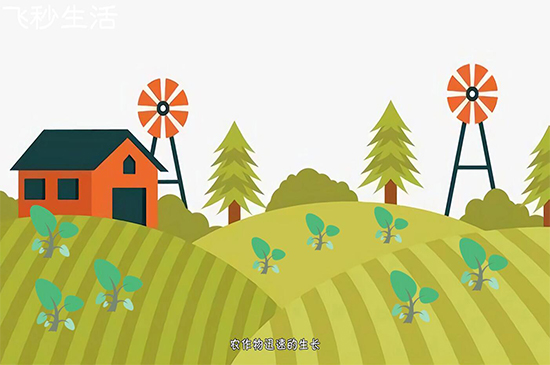夏至是什么意思 第7张