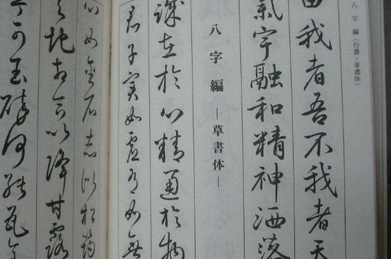 楷书是草书的起源吗 第5张