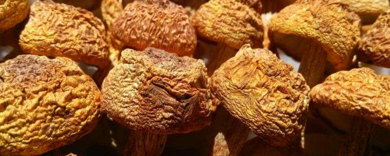 干货潮了怎么办 第1张