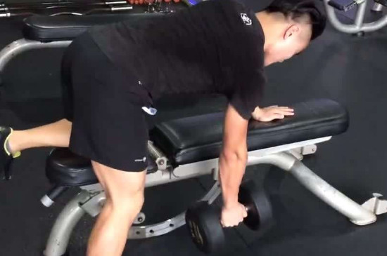 练背的器械 第5张