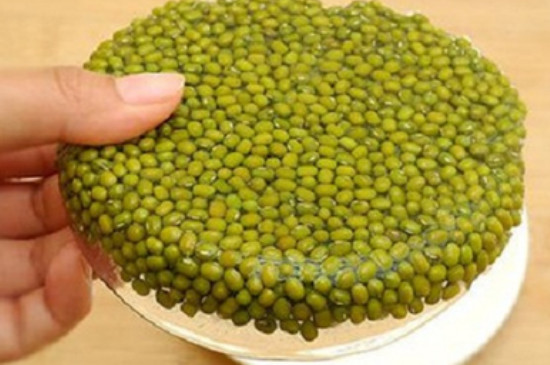 煮绿豆汤的正确方法（电饭高压锅煮绿豆汤的正确方法） 第3张