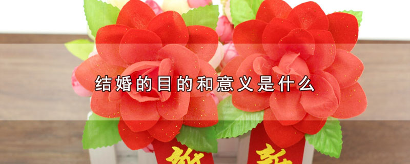 结婚的目的和意义是什么（结婚有哪些目的和意义） 第1张