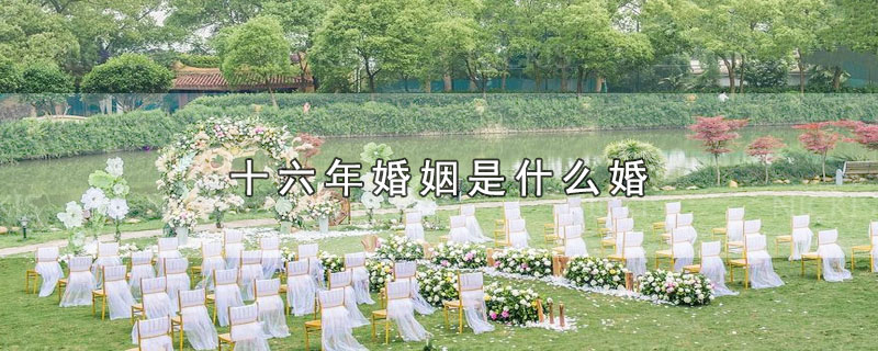 十六年婚姻是什么婚（十六年婚姻叫什么名字） 第1张