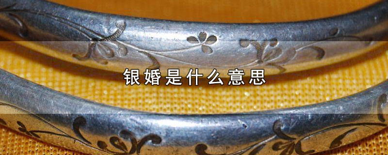 银婚是什么意思（银婚的含义） 第1张