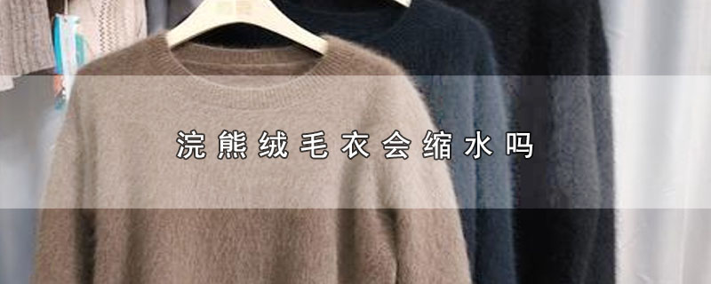 浣熊绒毛衣会缩水吗 第1张