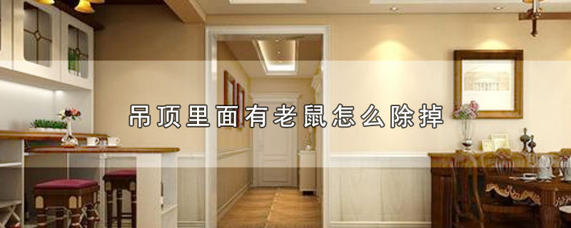 吊顶里面有老鼠怎么除掉 第1张