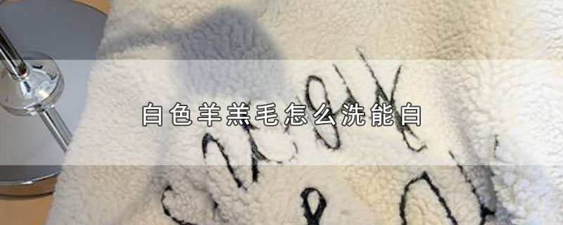 白色羊羔毛怎么洗能白 第1张