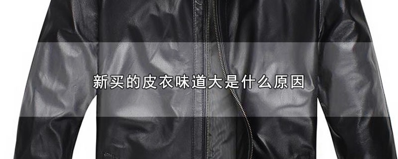新买的皮衣味道大是什么原因 第1张