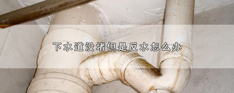 下水道没堵但是反水怎么办 第1张