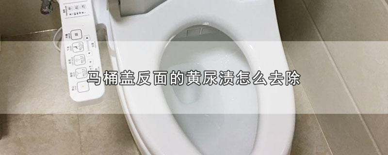 马桶盖反面的黄尿渍怎么去除 第1张