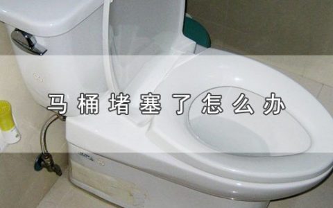 马桶堵塞了怎么办（马桶堵塞了如何处理）