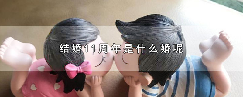 结婚11周年是什么婚呢（结婚11周年属于哪种婚） 第1张