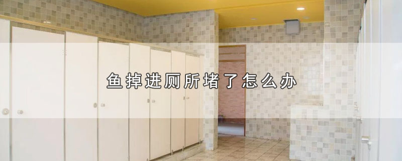 鱼掉进厕所堵了怎么办（鱼掉进厕所堵了如何处理） 第1张