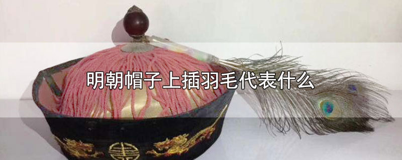明朝帽子上插羽毛代表什么（帽子上插羽毛代表什么） 第1张