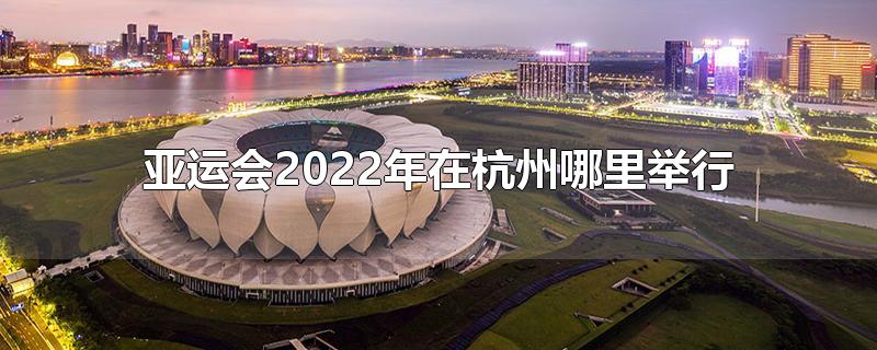 亚运会2022年在杭州哪里举行（亚运会2022年几月几号举办电子竞技项目） 第1张