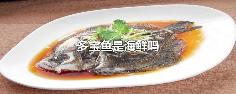 多宝鱼是海鲜吗，怎么做好吃（多宝鱼和鲈鱼哪个营养价值高） 第1张