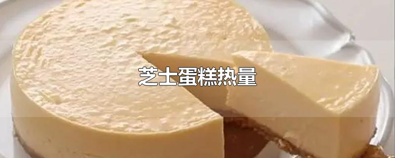 芝士蛋糕热量（芝士蛋糕热量高还是奶油蛋糕热量高） 第1张